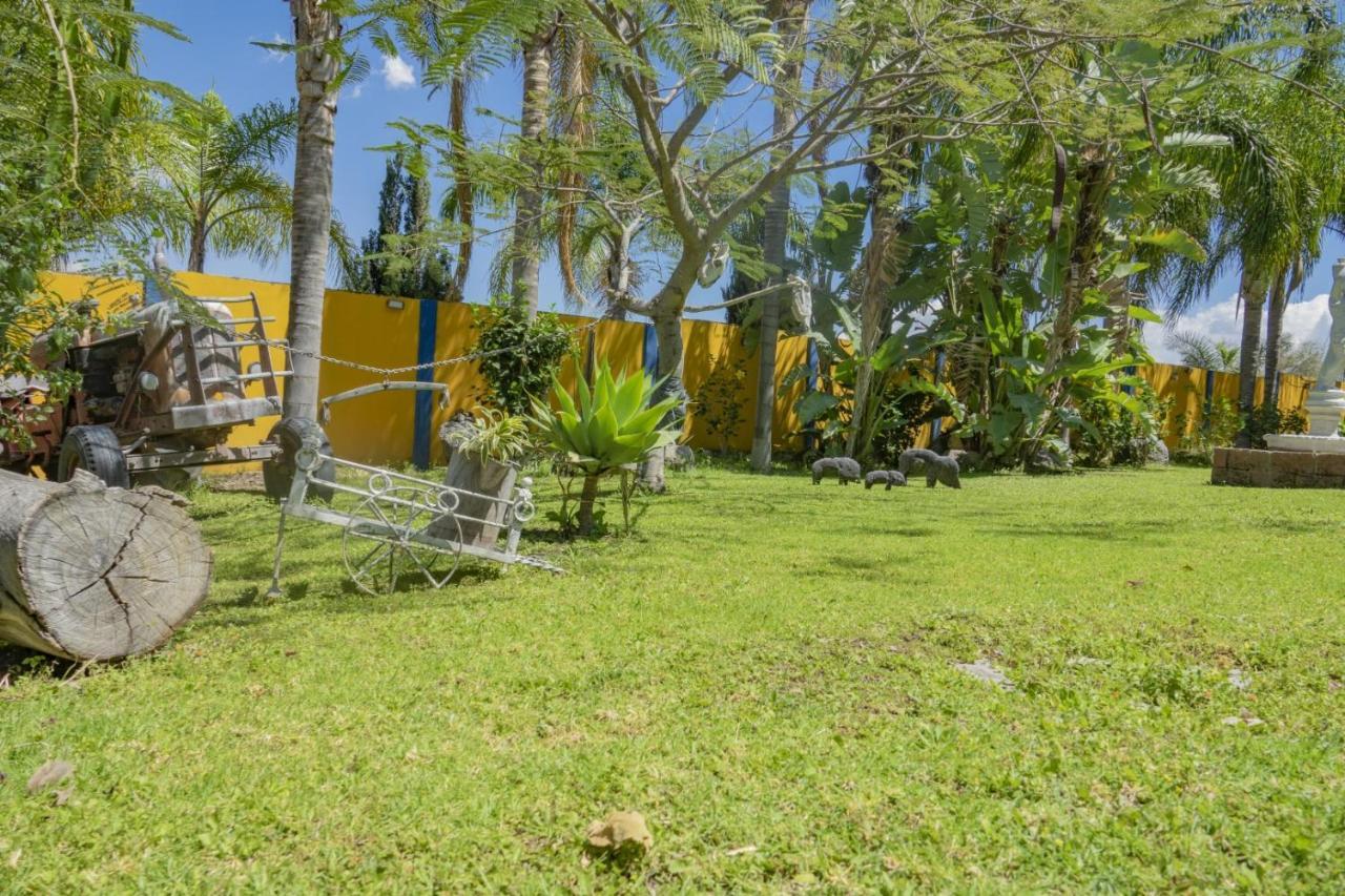 Hotel & Bungalows Las Palmas Вилья-Корона Экстерьер фото